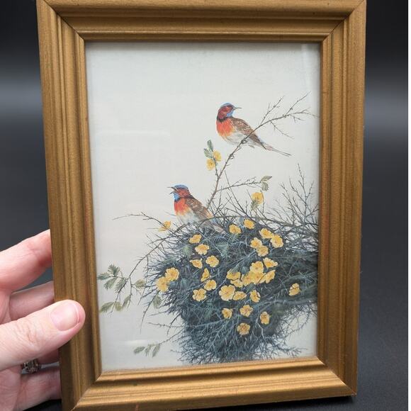 Robin Hill Signed Print The Legend of the Thornbirds Framed Art Birds out of 750